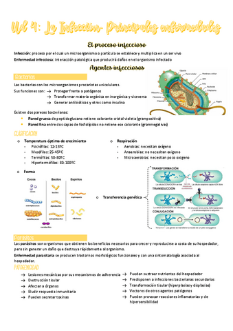 UD-4-FG.pdf