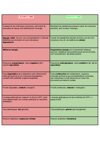 tabla-catabolisme-y-anabolisme.pdf
