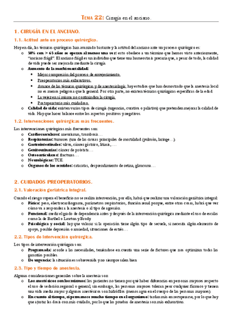 TEMA-22.pdf