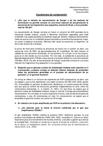 PRACTICA-6-Rafaella-Camere.pdf