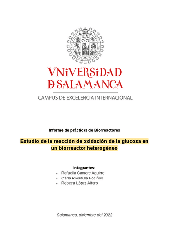 Informe-Biorreactores-Heterogeneo.pdf
