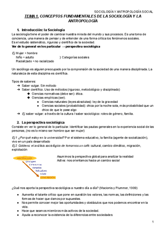 Apuntes-sociologia-1.pdf