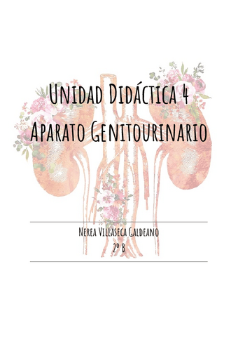 Aparato-Genitourinario.pdf