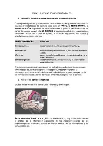 Tema 7 neuro completo