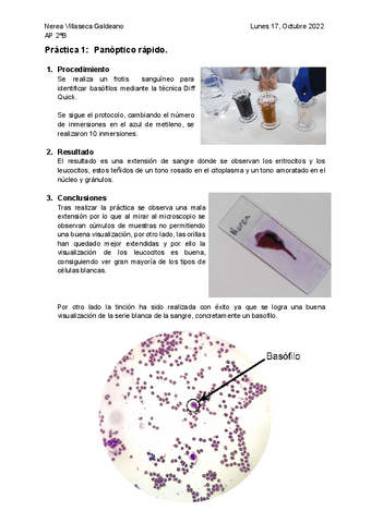 1-Panoptico-rapido.pdf