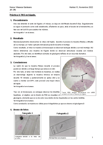 4-PAS.pdf