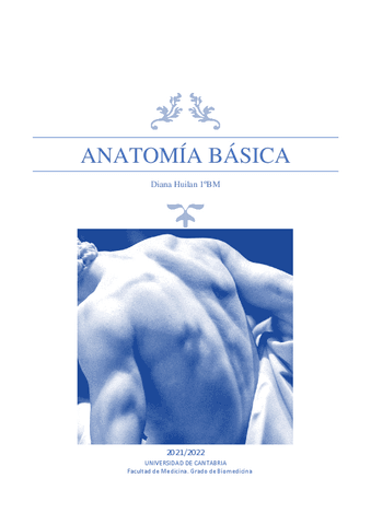 Apuntes - Anatomía.pdf