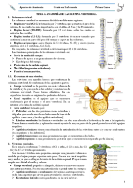 TEMA 4 COLUMNA VERTEBRAL.pdf