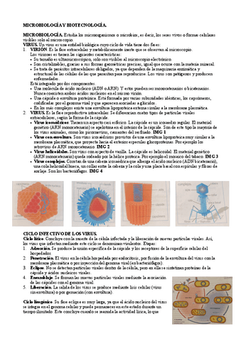 Evau-bloque-4.pdf