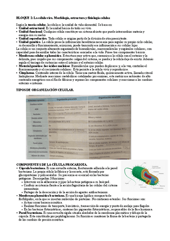BLOQUE-2.pdf