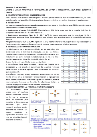 Bioquimica.pdf