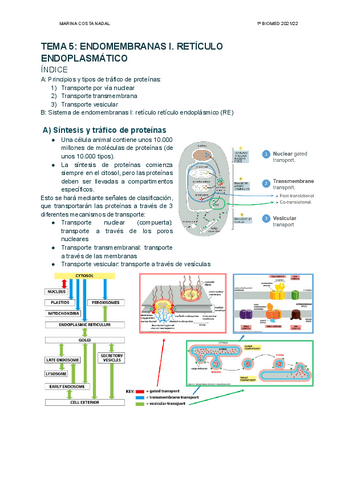 TEMA-5-ENDOMEMBRANAS-I.pdf