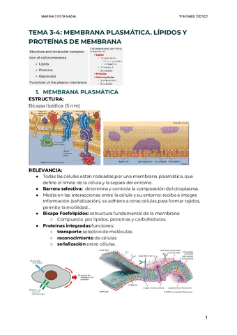 TEMA-3-MEMBRANA-PLASMATICA.pdf