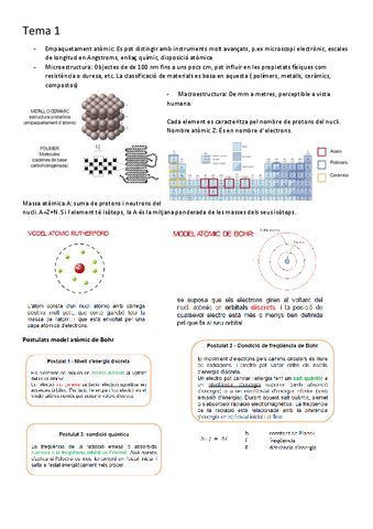 Resum-Tema-1.pdf