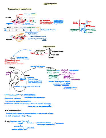 Apunts-Parcial-1.pdf