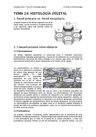 Tema-24.pdf