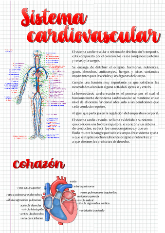 actividad-cardiovascular.pdf