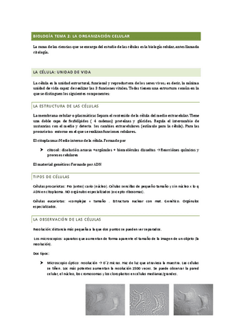 Biologia-tema-2.pdf