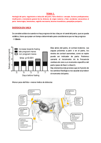 TEMA-5-JC.pdf