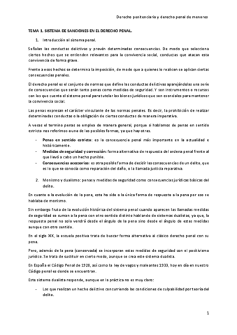 TEMA-1.-SISTEMA-DE-SANCIONES-EN-EL-DERECHO-PENAL.pdf