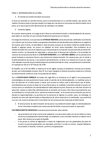 TEMA-3-PENITENCIARIO.pdf