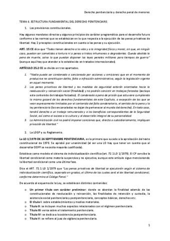 TEMA-6-ESTRUCTURA-DERECHO-PENITENCIARIO.pdf