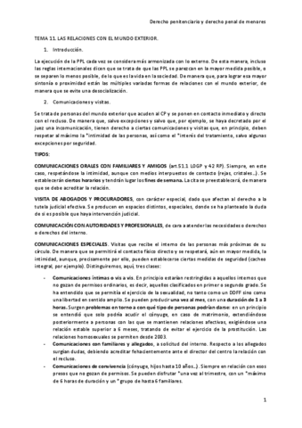 TEMA-11-PENITENCIARIO.pdf