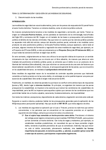 TEMA-12-MEDIDAS-DE-SEGURIDAD.pdf