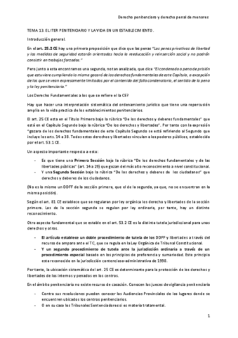 TEMA-13-EL-ITER-PENITENCIARIO-Y-LA-VIDA-EN-UN-ESTABLECIMIENTO..pdf