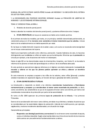 TEMA-17-DERECHO-PENAL-JUVENIL.pdf
