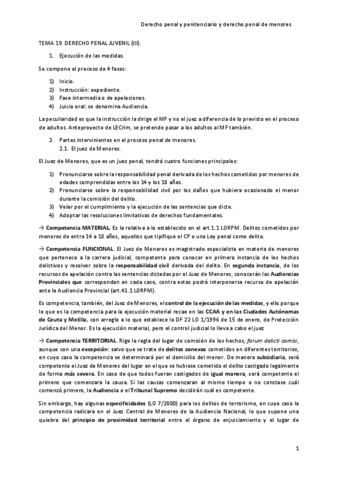 TEMA-19-DERECHO-PENAL-JUVENIL-III.pdf