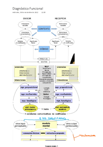 Diagnostico-Funcional-Lenguaje.pdf