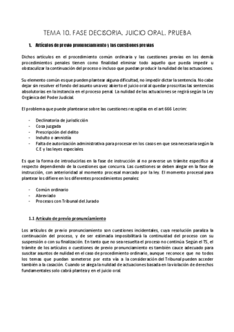 TEMA-10-PROCESO-PENAL.pdf