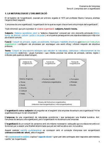 Tema-9.-Lempresa-com-a-organitzacio.pdf