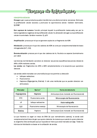 CitogeneticaTecnicas-de-hibridacion.pdf