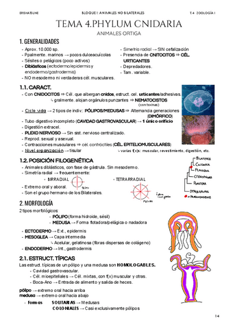 Tema-4-Ph-Cnidaria.pdf