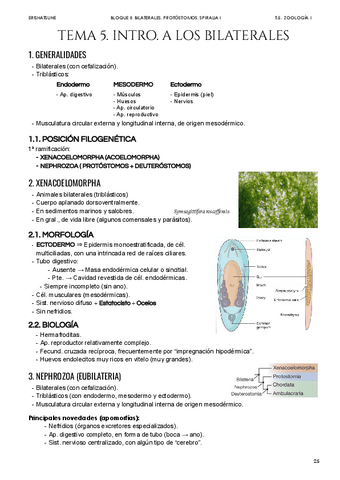 Tema-5-Intro-a-los-Bilaterales.pdf