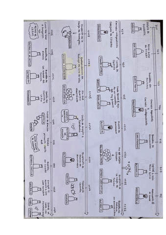 Linea-Bloque-1-y-2-HISTORIA.pdf