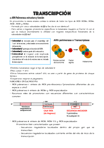 TEMA-6-y-7.pdf