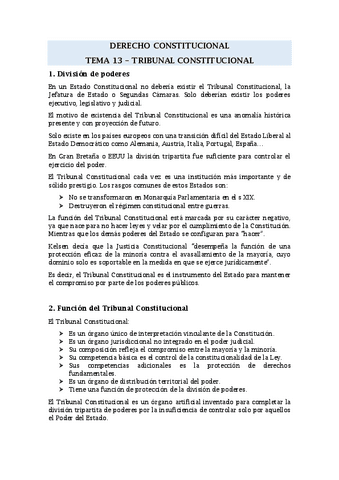 TEMA-13.pdf