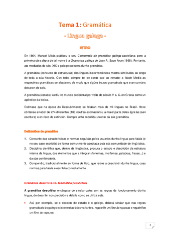 Tema-1Gramatica.pdf