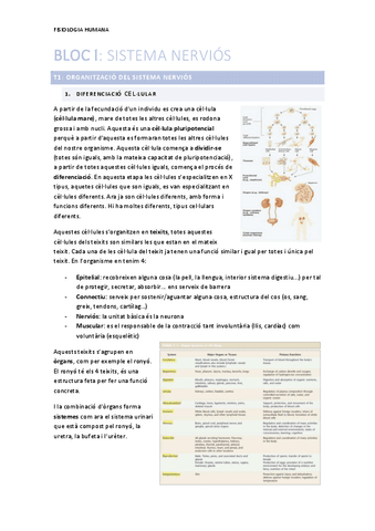 BLOC-I.pdf