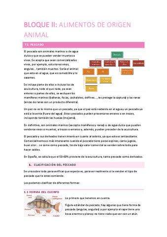 BLOQUE-II.pdf