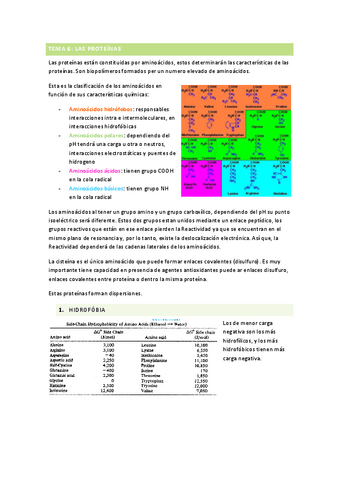 T6PROTEINAS.pdf