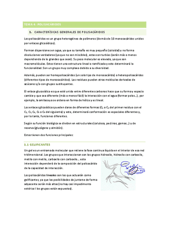 T4POLISACARIDOS.pdf