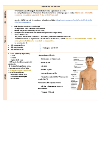 INFECCIONES-SNC.pdf