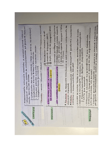 Esquemas-Bloque-8.pdf