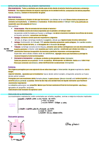 APARATO-RESPIRATORIO-6.pdf