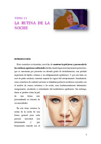 Copia-de-LA-RUTINA-DE-LA-NOCHE.pdf