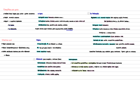 Untitled.pdf
